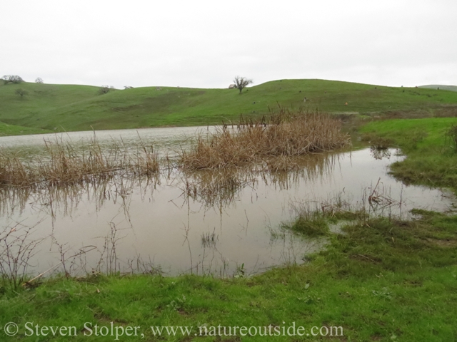 The overcast and rain made it a challenge to remain motionless and keep warm.