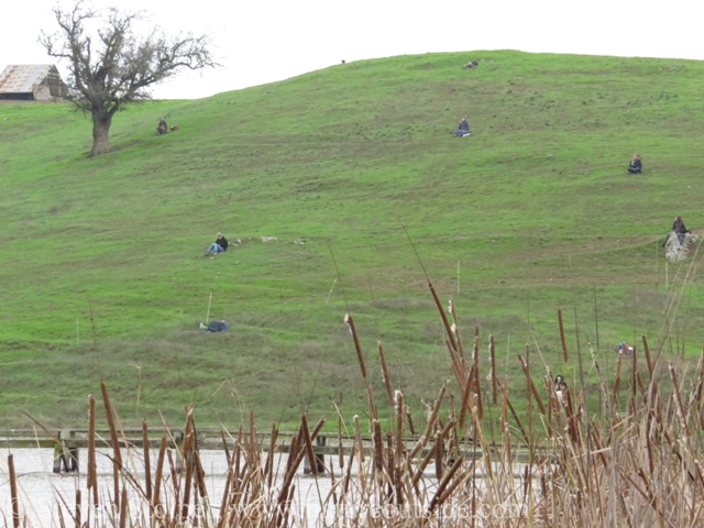 The students at their sit-spots on a hill overlooking the pond.