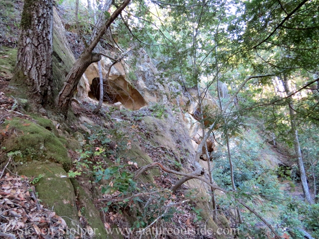 Approach to caves