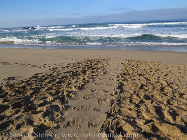 What it looks like after a group of trackers find a set of tracks