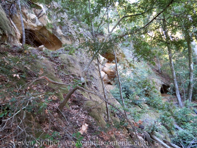 closer shot of the cave entrances