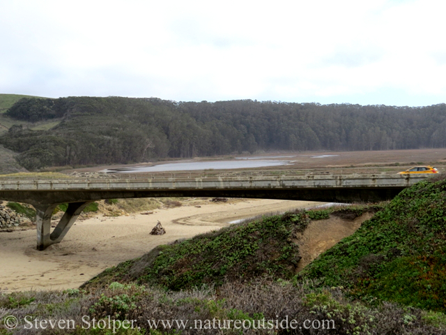 Pescadero Marsh Natural Preserve lies on the other side of the highway.