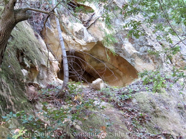 The top cave entrance.