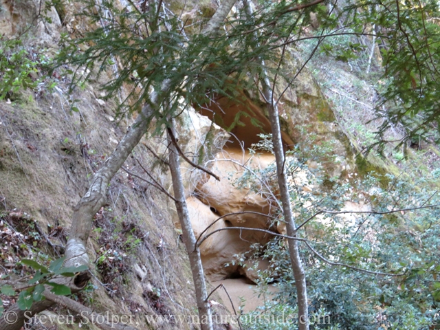 The middle cave entrance