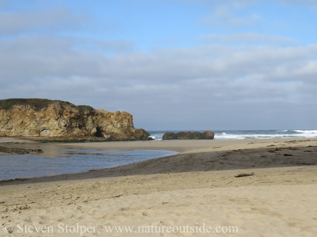 Looking toward the sea from underneath the highway overpass. Pescadero Creek flows over the sand on its way to the ocean.