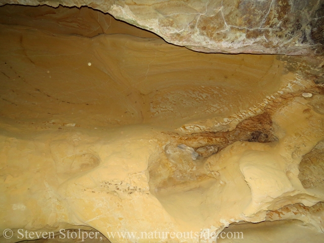 Back wall of the bottom cave