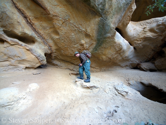 Animal tracking in the cave