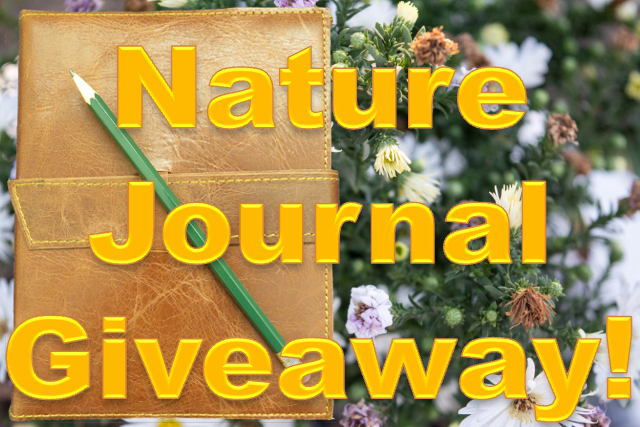 0-JournalGiveawayTitle