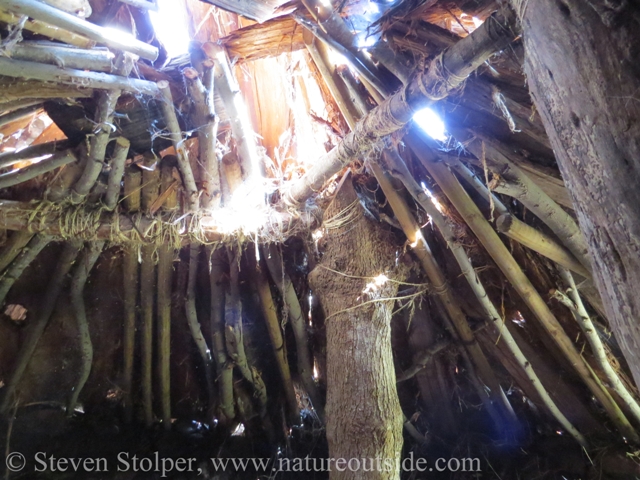 Looking toward the roof, the support structures appear to be lashed with twine.