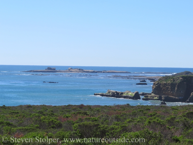 Looking across Ano Nuevo. Ano Nuevo Island is in the distance.