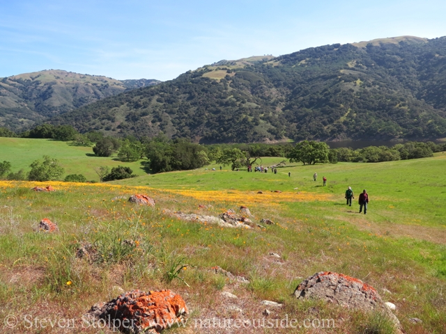 Can you tell where the serpentine soil is?