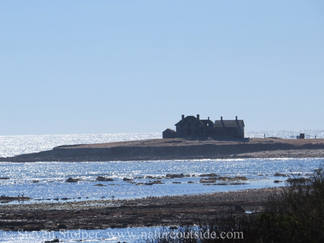 The remains of the lighthouse and fog signal station built on Ano Nuevo Island in 1872. The keeper’s house provides a home to Brandt’s and Pelagic Cormorants and California Sea Lions. 