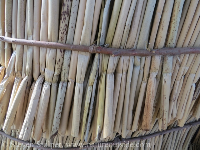 Tule house exterior. You can see how the upper layer of tule overlaps the lower one. This helps shed rain.