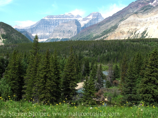 Looking down on a river in the backcountry, Glacier National Park