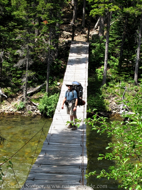 I had a magical time backpacking in Glacier National Park., one of our nation's wild Edens.