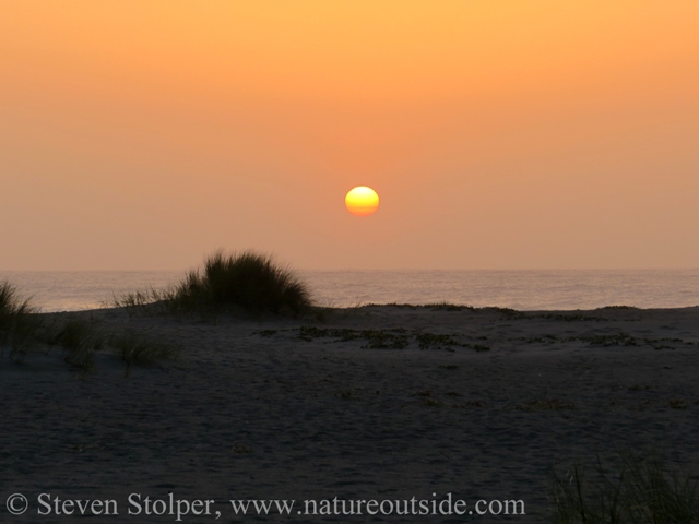 Sun setting over ocean