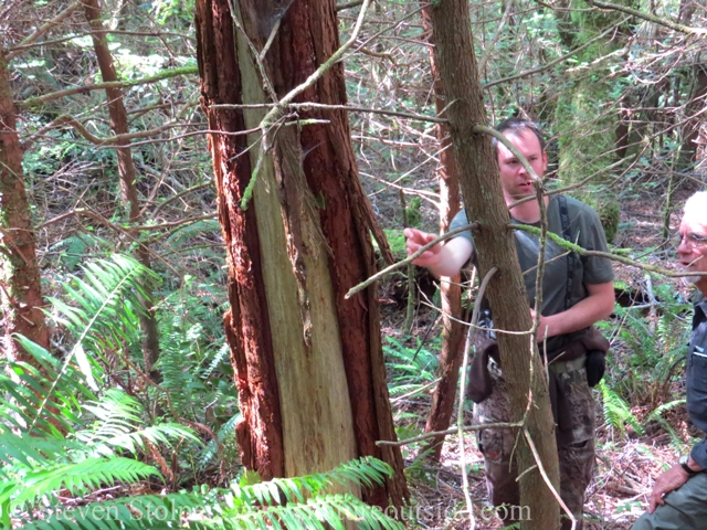 Preston explains the sign and relates it to bear behavior