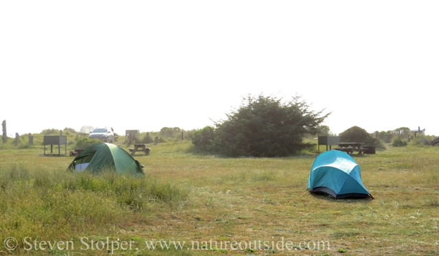 The Pacific Ocean is just beyond the line of bushes. My tent has the teal rainfly.