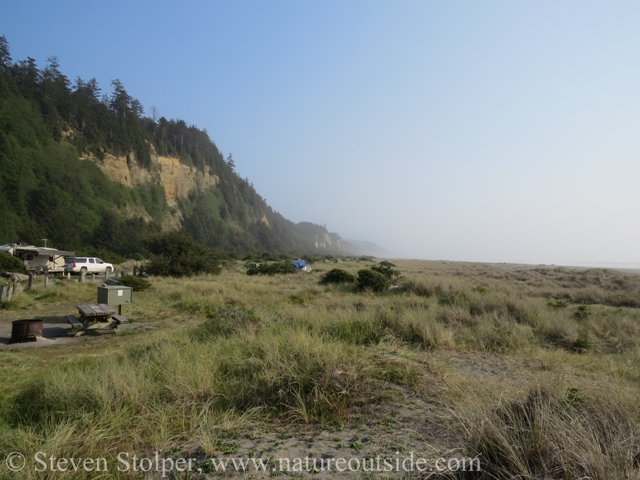 Looking south from the campsite