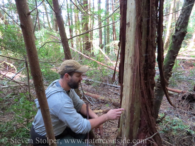 Matt explains a detail about this feeding sign