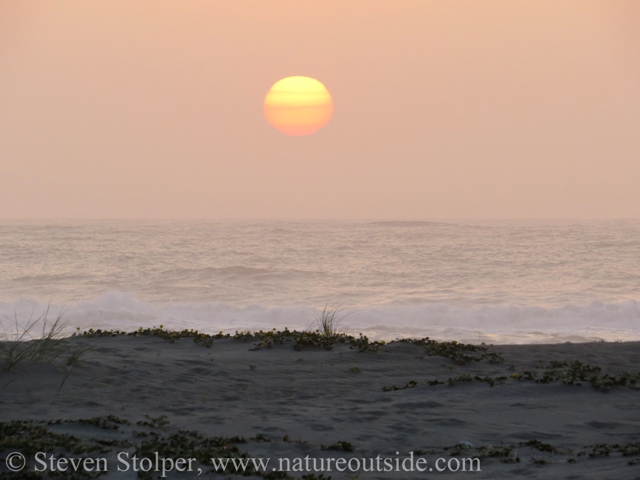 Sunset on the beach