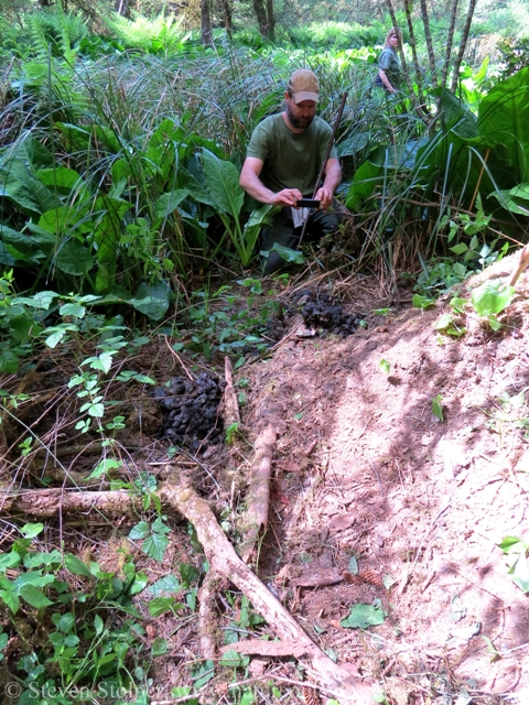 Yes, bears really do in the woods. And we have the photographic evidence!