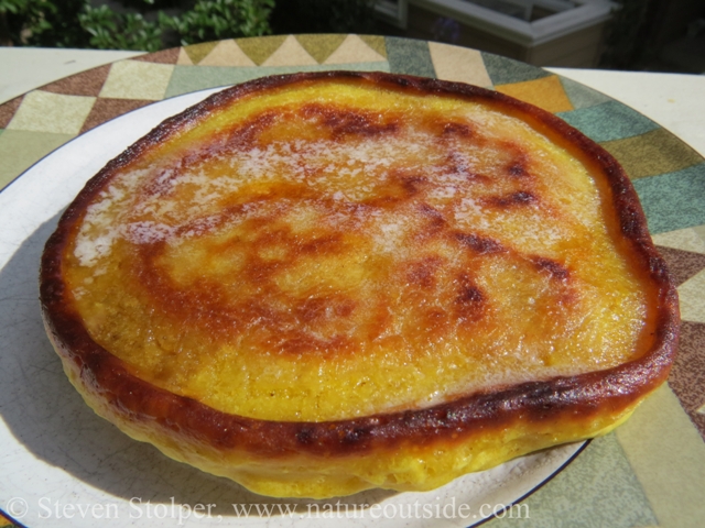 The cattail pollen (and possibly the fiber) adds extra flavor to the pancakes