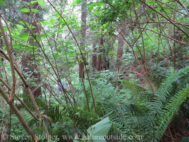 Preston scouts ahead, looking to see if the bear is still lurking