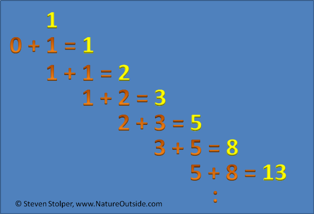 Add the last two numbers in the sequence together to get the next.