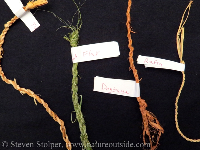 Cordage I made from different plant materials