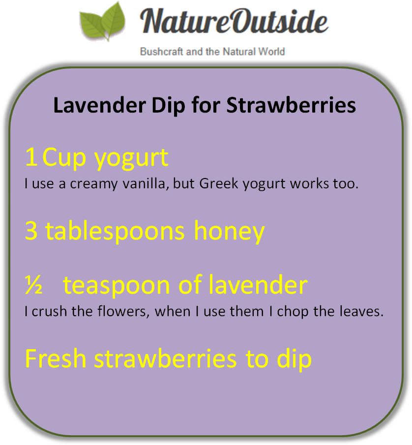 LavenderDipIngredients