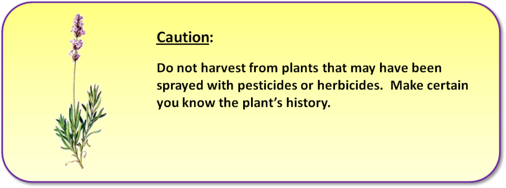 natureoutside_pesticide_warning