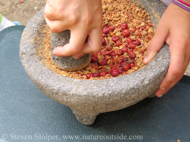 Grinding the berries outside using a stone mortar and pestle