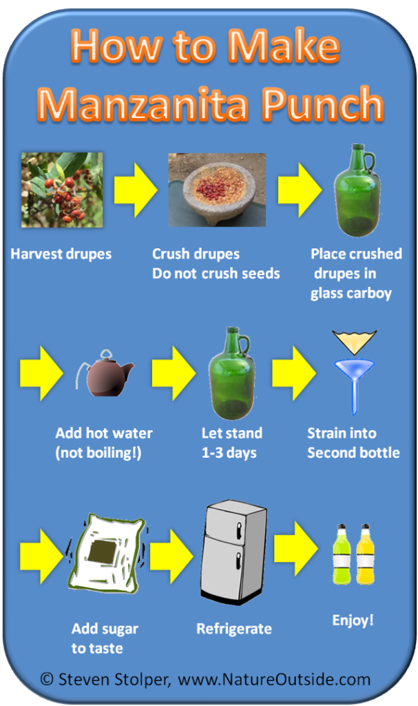 ManzanitaPunchInfographic