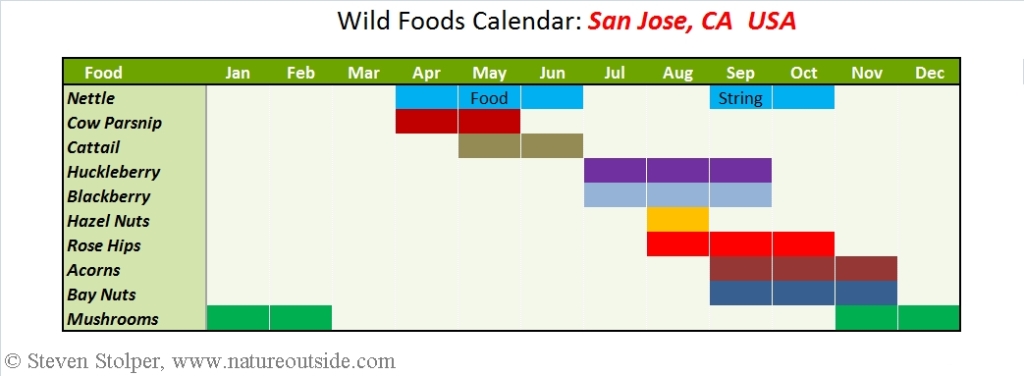 wild foods calendar