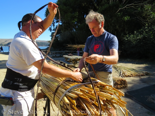 We anchored the long grapevine by tying it to one of the bindings at the stern of the boat.