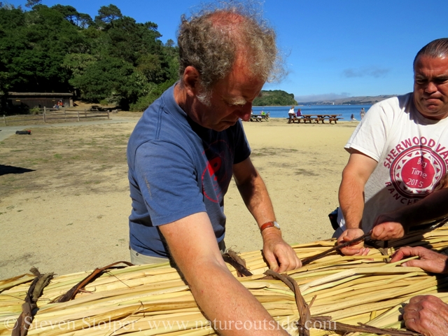 The tule bundles must be cinched tight to keep them from moving relative to each other when on the water. This was the only part of the process that required strength. Notice Sky exerting himself to bind the bundles tightly.