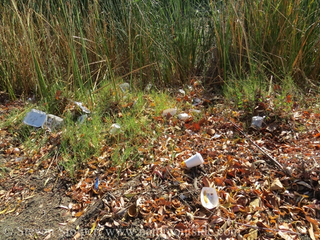 I didn't have the heart to photograph the big piles of trash