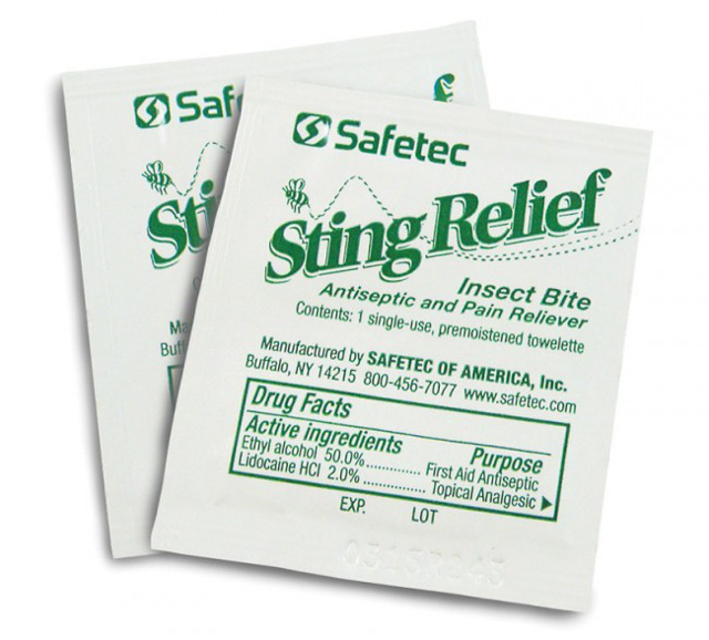 10 First Aid Kit Insect Sting Relief Wipe Towelette #2632 