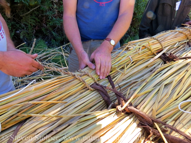 We use tule rope to tie the gunwale to the deck. We never pierce the tule bundles. We wrap the rope around the grapevine holding the three main bundles together.