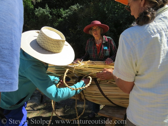 We use a fid, made of deer bone, to push aside the tule so we can thread the rope.