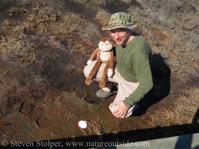 Adventure Monkey and me waiting for the plaster to set.  I usually leave the cast and return later to collect it.