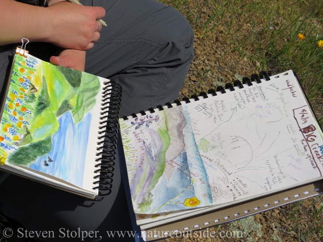 Two journals kept by people who use pencils and watercolor pens