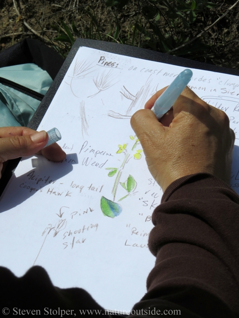 Journal kept by a person who draws and records information on the same page