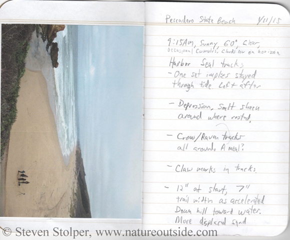 journal entry on beach