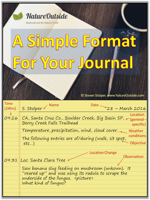 infographic about how to keep a nature journal