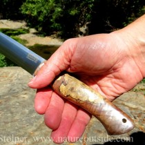 Bark River Aurora bushcraft knife spalted maple burl