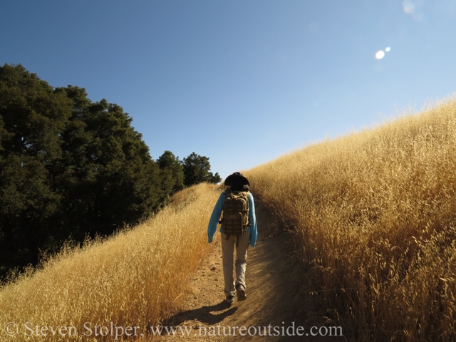 back of hiker in sun