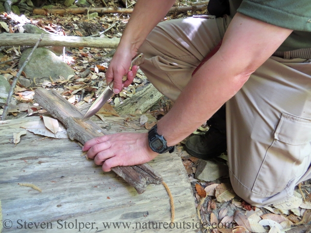 using fallen tree as carving backstop