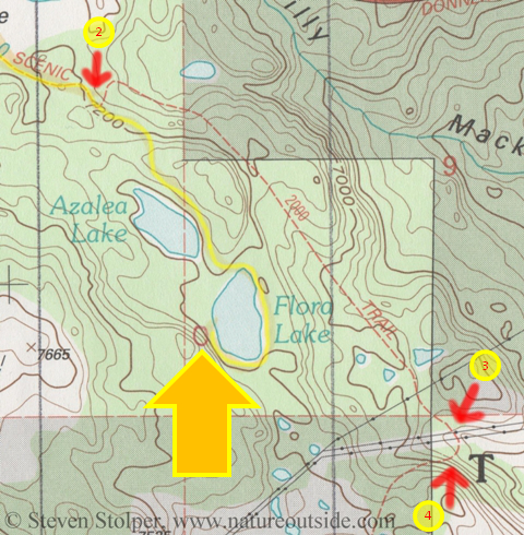 topo map flora lake